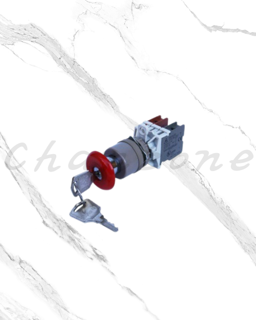 山河電機 ø22.25.30歐式-分離型系列 附鎖開關 SHAFK-221