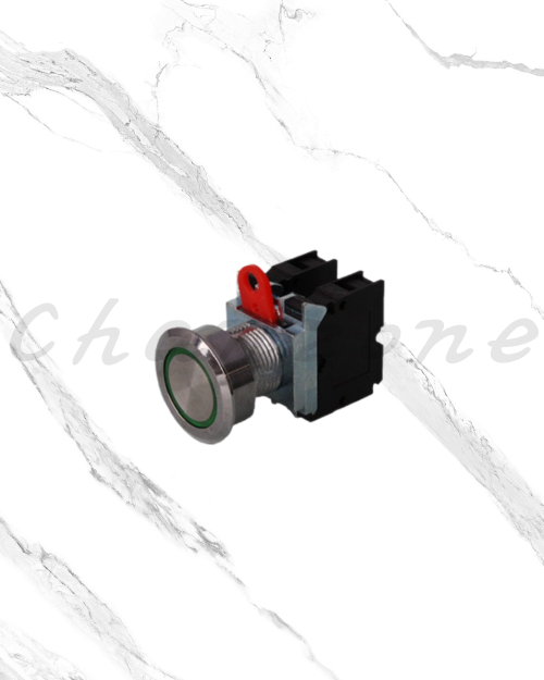 山河電機 ø30-SSB系列 金屬平面/指示照光按鈕 SSBP-301/SSBI-304/SSBB-301/SSBT-301/SSBIS-301/SSBS-301