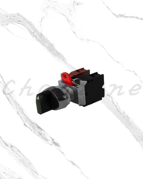山河電機 ø22-SSB系列 非照光/照光切替開關 SSBS-221/SSBIS-221