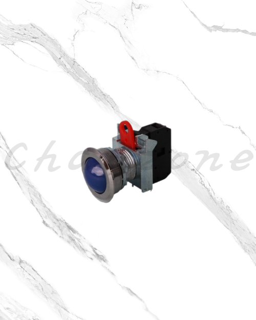 山河電機 ø30-SSB系列 金屬平面/指示照光按鈕 SSBP-301/SSBI-304/SSBB-301/SSBT-301/SSBIS-301/SSBS-301