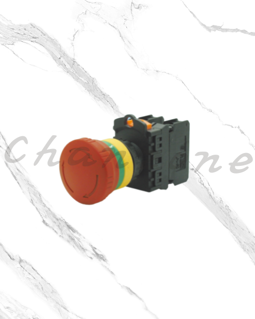 天得科技 Ø22/Ø25/Ø30按鈕開關 TT2BK