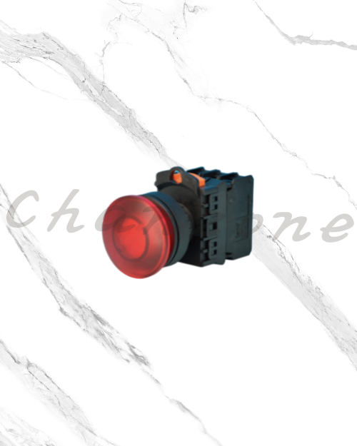 天得科技 Ø30埋入式直接照光按鈕開關 TTR3IMB