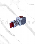 山河電機 ø22.25.30歐式-分離型系列 照光式替切開關 SHAIS-223