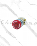 天得科技 Ø22/Ø25/Ø30直接式照光按鈕開關 T3IKR